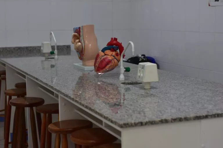 Colégio Presbiteriano de Guarulhos 7